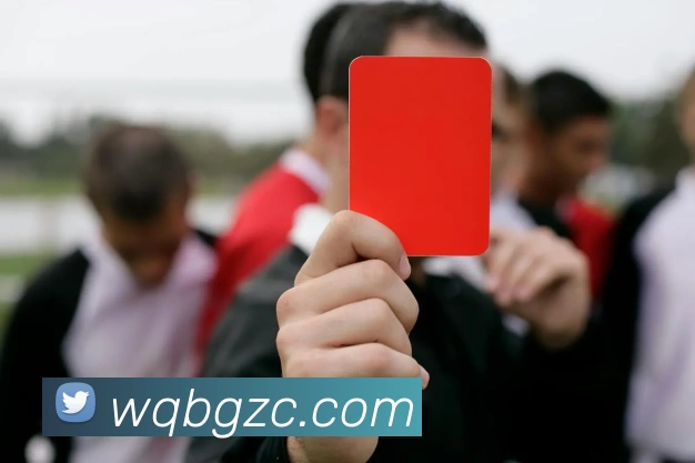 J9集团APP 高清赛事图